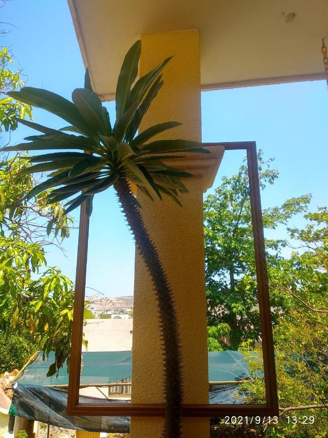 Room In Guest Room - Padrinos Hostal La Paz Full House Luaran gambar